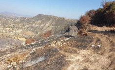 For sale, land, field, Limassol, Pachna, 9,867m&sup2;, &euro;13,000 
