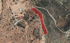 For sale, land, field, Limassol, Pachna, 9,867m&sup2;, &euro;13,000 