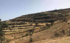 For sale, land, field, Limassol, Vouni, 967m&sup2;, &euro;2,000 