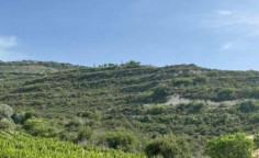 For sale, land, field, Limassol, Pachna, 2,174m&sup2;, &euro;3,000 
