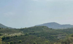 For sale, land, field, Limassol, Pachna, 1,338m&sup2;, &euro;2,000 