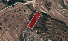For sale, land, field, Limassol, Pachna, 1,338m&sup2;, &euro;2,000 