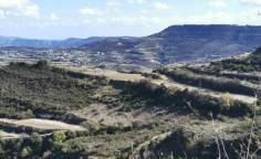 For sale, land, field, Limassol, Pachna, 9,365m&sup2;, &euro;11,000 