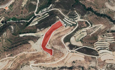 For sale, land, field, Limassol, Pachna, 9,365m&sup2;, &euro;11,000 