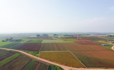 For sale, land, field, Larnaca, Ormideia, 13,925m&sup2;, &euro;51,000 