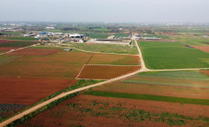 For sale, land, field, Larnaca, Ormideia, 13,925m&sup2;, &euro;51,000 