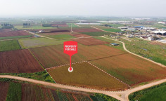For sale, land, field, Larnaca, Ormideia, 13,925m&sup2;, &euro;51,000 