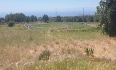 For sale, land, field, Limassol, Pachna, 11,706m&sup2;, &euro;28,000 