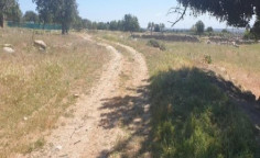 For sale, land, field, Limassol, Pachna, 11,706m&sup2;, &euro;28,000 