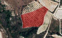 For sale, land, field, Limassol, Pachna, 7,024m&sup2;, &euro;12,000 