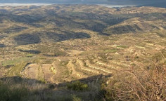 For sale, land, field, Limassol, Pachna, 7,024m&sup2;, &euro;12,000 