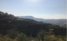 For sale, land, field, Limassol, Pachna, 10,368m&sup2;, &euro;11,000 