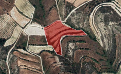 For sale, land, field, Limassol, Pachna, 10,368m&sup2;, &euro;11,000 