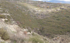 For sale, land, field, Limassol, Vouni, 2,676m&sup2;, &euro;3,000 