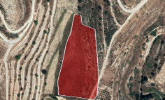 For sale, land, field, Limassol, Agios Amvrosios, 8,696m&sup2;, &euro;14,000 