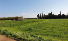 For sale, land, Famagusta, Avgorou, 13,457m&sup2;, &euro;11,000 