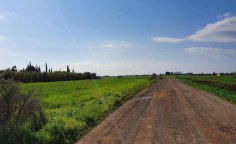 For sale, land, Famagusta, Avgorou, 13,457m&sup2;, &euro;11,000 