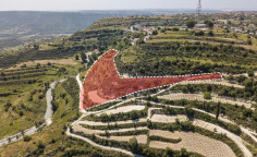 For sale, land, field, Limassol, Pachna, 10,703m&sup2;, &euro;46,000 , Limassol