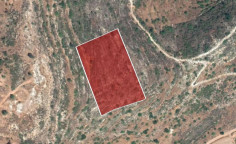 Beautiful agricultural for sale in Pachna