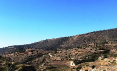 For sale, land, field, Limassol, Pachna, 22,910m&sup2;, &euro;24,000 