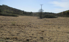For sale, land, field, Paphos, Kathikas, 11,372m&sup2;, &euro;51,000 