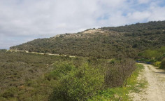 For sale, land, field, Limassol, Agios Amvrosios, 5,686m&sup2;, &euro;11,000 
