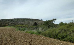 For sale, land, field, Limassol, Pyrgos, 3,345m&sup2;, &euro;75,000 , Limassol