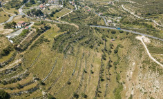 For sale, land, field, Limassol, Agios Amvrosios, 7,693m&sup2;, &euro;38,000 , Limassol