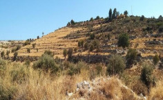 For sale, land, field, Limassol, Agios Amvrosios, 7,693m&sup2;, &euro;38,000 , Limassol