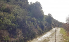 For sale, land, field, Limassol, Pachna, 10,368m&sup2;, &euro;12,000 