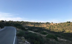 For sale, land, field, Limassol, Pachna, 16,054m&sup2;, &euro;36,000 