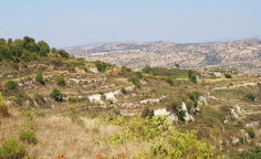 For sale, land, field, Limassol, Pachna, 8,362m&sup2;, &euro;10,000 