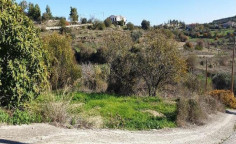 Limassol