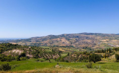 For sale, land, field, Paphos, Simou, 10,704m&sup2;, &euro;42,000 