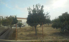 For sale, land, field, Nicosia, Psimolofou, 2,732m&sup2;, &euro;49,000 , Nicosia