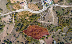 For sale, land, field, Paphos, Ineia, 5,017m&sup2;, &euro;115,000 , Paphos