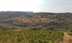 For sale, land, field, Limassol, Pachna, 13,172m&sup2;, &euro;11,000 