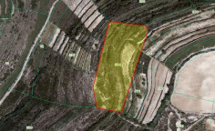 For sale, land, field, Limassol, Pachna, 13,172m&sup2;, &euro;11,000 