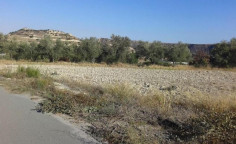 For sale, land, Limassol, Pissouri, 9,700m&sup2;, &euro;116,000 , Limassol