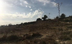 For sale, land, field, Limassol, Pachna, 1,283m&sup2;, &euro;17,000 , Limassol