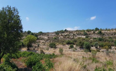 For sale, land, field, Limassol, Pachna, 11,037m&sup2;, &euro;20,000 , Limassol