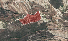 For sale, land, field, Limassol, Pachna, 22,074m&sup2;, &euro;13,000 