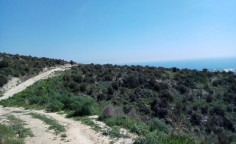 For sale, land, Larnaca, Maroni, 11,372m&sup2;, &euro;114,000 , Larnaca