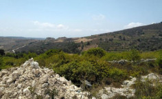 For sale, land, Paphos, Ineia, 4,014m&sup2;, &euro;31,000 , Paphos