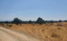 For sale, land, field, Limassol, Pachna, 14,047m&sup2;, &euro;11,000 