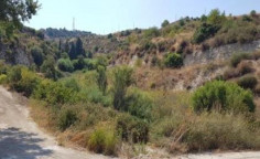 For sale, land, field, Limassol, Pachna, 16,723m&sup2;, &euro;28,000 