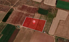 For sale, land, Famagusta, Avgorou, 12,325m&sup2;, &euro;28,000 