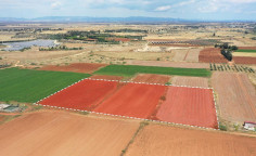 For sale, land, Famagusta, Avgorou, 12,325m&sup2;, &euro;28,000 