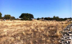 For sale, land, field, Limassol, Pachna, 10,593m&sup2;, &euro;21,000 