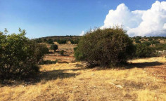 For sale, land, field, Limassol, Pachna, 10,593m&sup2;, &euro;21,000 